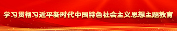 啊被操视频啊啊学习贯彻习近平新时代中国特色社会主义思想主题教育