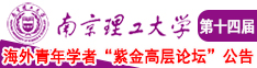 sm小骚狗南京理工大学第十四届海外青年学者紫金论坛诚邀海内外英才！